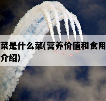 燕菜是什么菜，營養價值和食用方法介紹-圖1