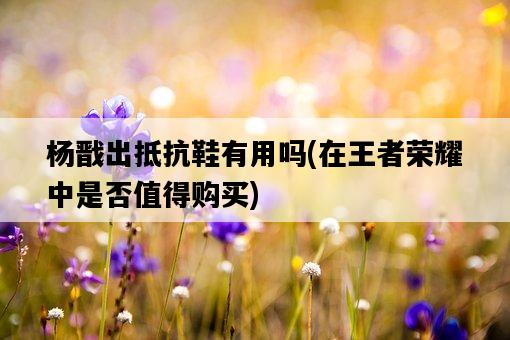 楊戩出抵抗鞋有用嗎，在王者榮耀中是否值得購買-圖1