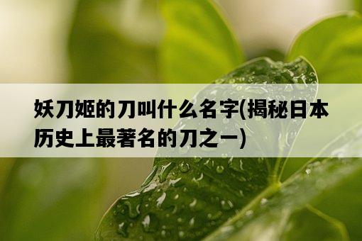 妖刀姬的刀叫什么名字，揭秘**歷史上最著名的刀之一-圖1