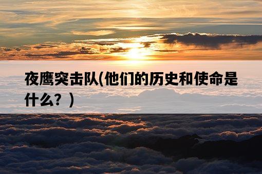 夜鷹突擊隊，他們的歷史和使命是什么？-圖1