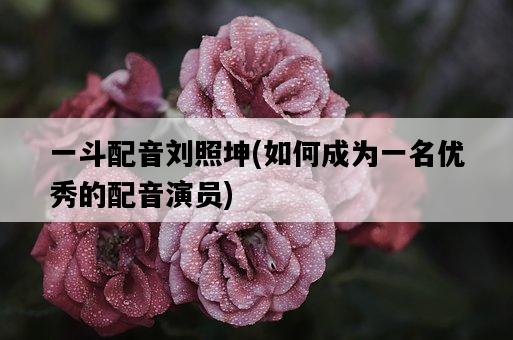 一斗配音劉照坤，如何成為一名優秀的配音演員-圖1