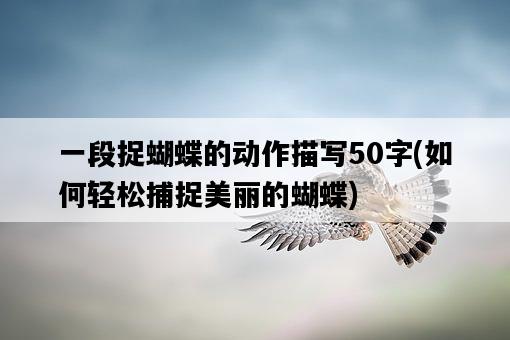 一段捉蝴蝶的動作描寫50字，如何輕松捕捉美麗的蝴蝶-圖1