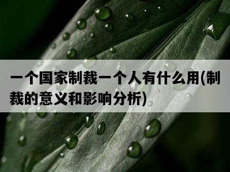一個國家制裁一個人有什么用，制裁的意義和影響分析-圖1