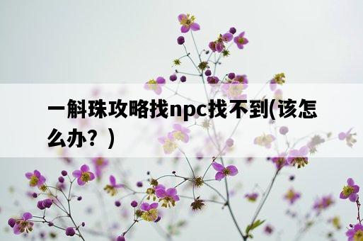 一斛珠攻略找npc找不到，該怎么辦？-圖1