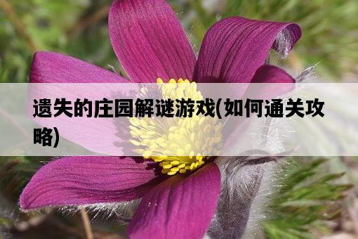 遺失的莊園解謎游戲,如何通關攻略-圖1 遺失的莊園解謎游戲,如何通關攻略-圖1