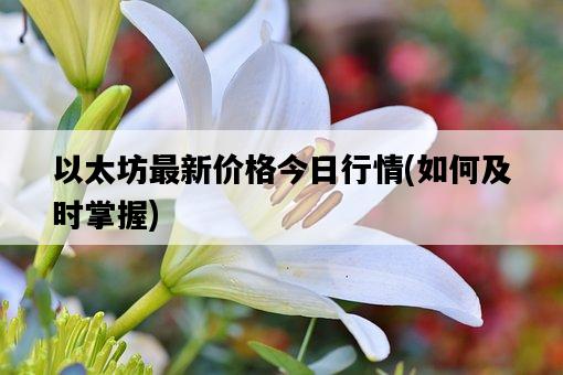 以太坊最新價格今日行情，如何及時掌握-圖1