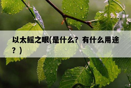 以太鰩之眼，是什么？有什么用途？-圖1