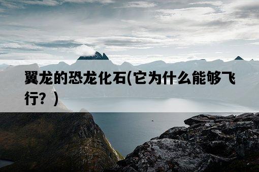 翼龍的恐龍化石，它為什么能夠飛行？-圖1