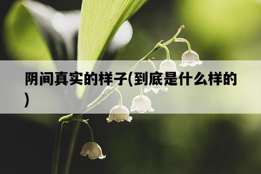 陰間真實的樣子，到底是什么樣的-圖1