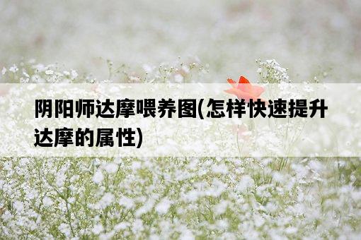 陰陽師達摩喂養圖，怎樣快速提升達摩的屬性-圖1