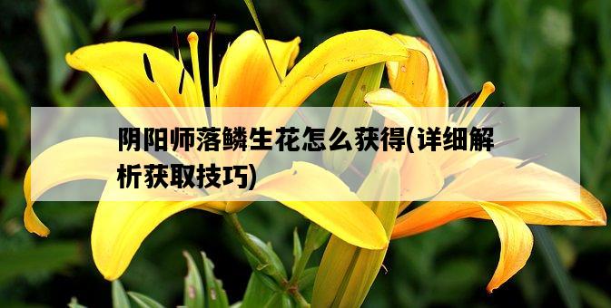 陰陽師落鱗生花怎么獲得，詳細解析獲取技巧-圖1