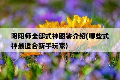 陰陽師全部式神圖鑒介紹，哪些式神最適合新手玩家-圖1