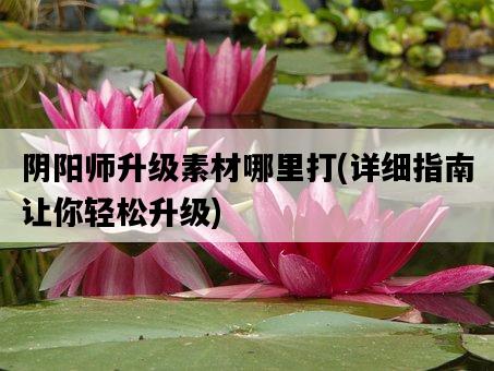 陰陽師升級素材哪里打，詳細指南讓你輕松升級-圖1
