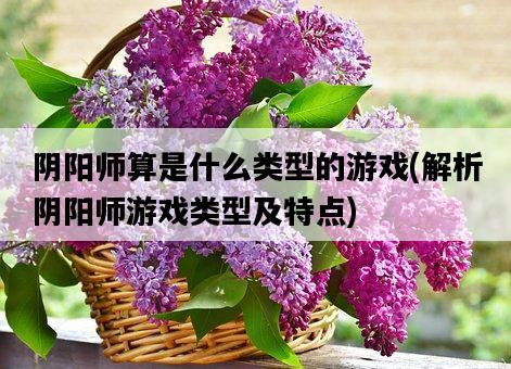 陰陽師算是什么類型的游戲，解析陰陽師游戲類型及特點-圖1