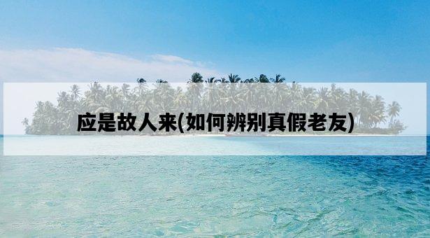 應是故人來，如何辨別真假老友-圖1