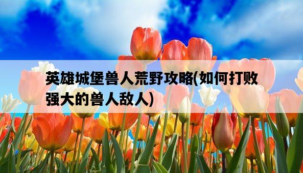 英雄城堡獸人荒野攻略，如何打敗強大的獸人敵人-圖1