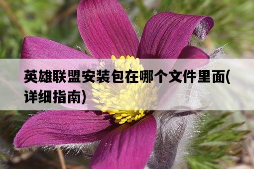 英雄聯盟安裝包在哪個文件里面，詳細指南-圖1