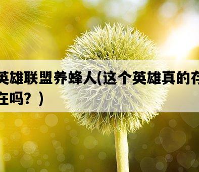 英雄聯盟養蜂人，這個英雄真的存在嗎？-圖1