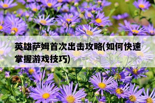 英雄薩姆首次出擊攻略,如何快速掌握游戲技巧-圖1 英雄薩姆首次出擊攻略,如何快速掌握游戲技巧-圖1