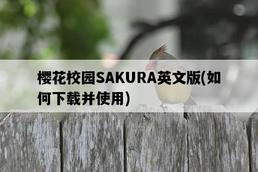 櫻花校園SAKURA英文版，如何下載并使用-圖1