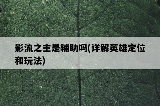 影流之主是輔助嗎，詳解英雄定位和玩法-圖1