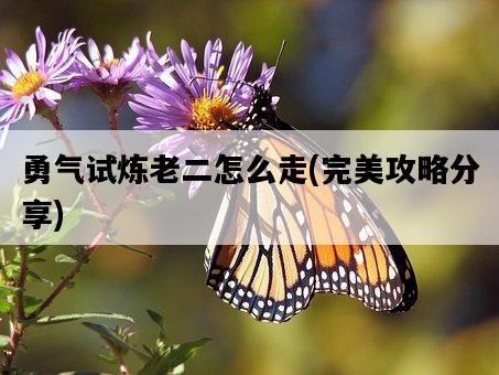 勇氣試煉老二怎么走,完美攻略分享-圖1 勇氣試煉老二怎么走,完美攻略分享-圖1
