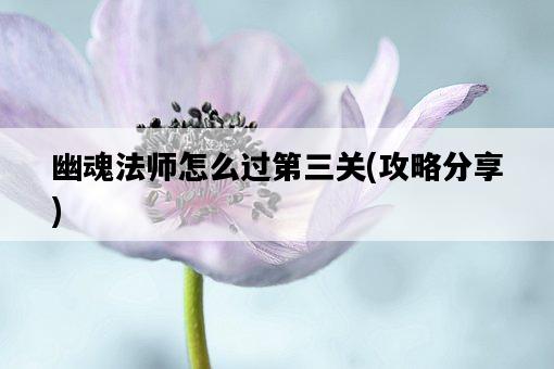 幽魂法師怎么過第三關，攻略分享-圖1
