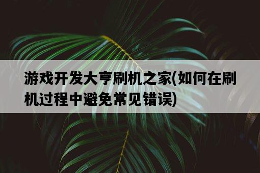 游戲開發大亨刷機之家，如何在刷機過程中避免常見錯誤-圖1