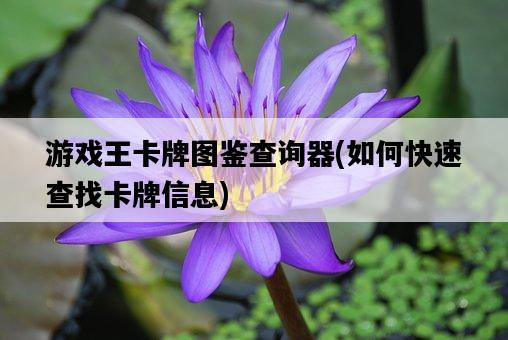 游戲王卡牌圖鑒查詢器，如何快速查找卡牌信息-圖1