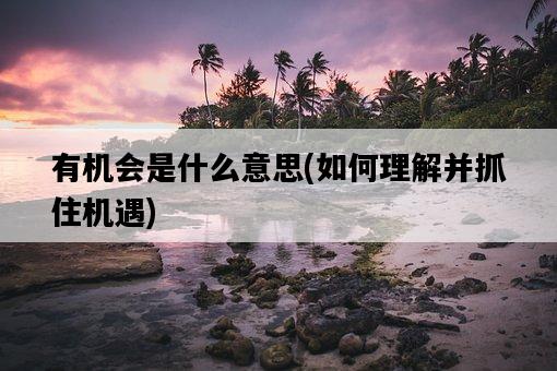 有機會是什么意思，如何理解并抓住機遇-圖1