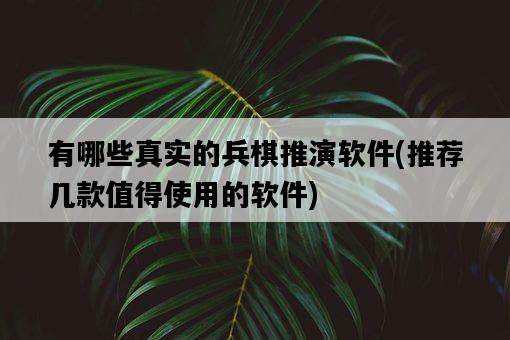 有哪些真實的兵棋推演軟件，推薦幾款值得使用的軟件-圖1
