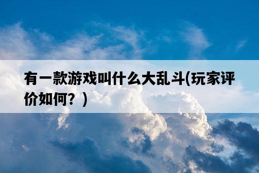 有一款游戲叫什么大亂斗，玩家評價如何？-圖1