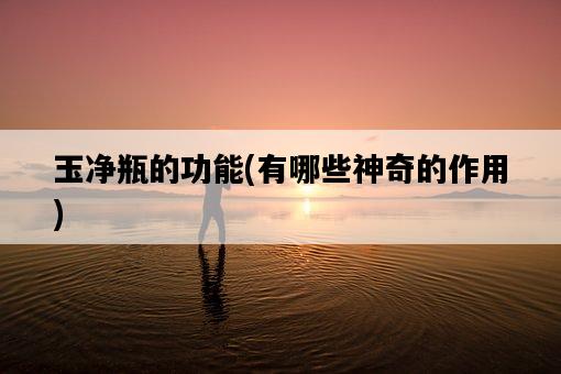 玉凈瓶的功能，有哪些神奇的作用-圖1