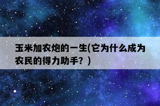 玉米加農炮的一生，它為什么成為農民的得力助手？-圖1