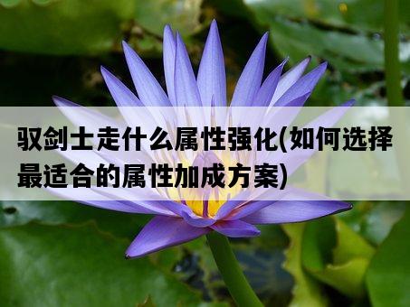 馭劍士走什么屬性強化，如何選擇最適合的屬性加成方案-圖1