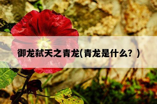 御龍弒天之青龍，青龍是什么？-圖1