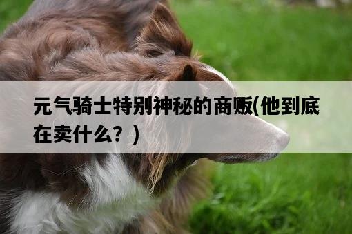 元氣騎士特別神秘的商販，他到底在賣什么？-圖1