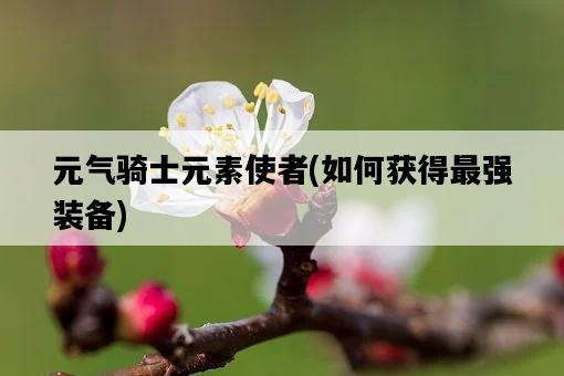 元氣騎士元素使者，如何獲得最強裝備-圖1