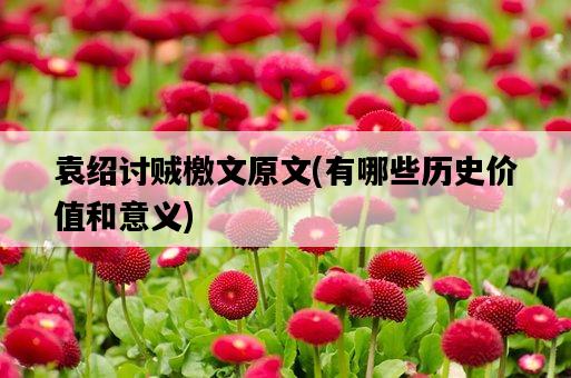 袁紹討賊檄文原文，有哪些歷史價值和意義-圖1