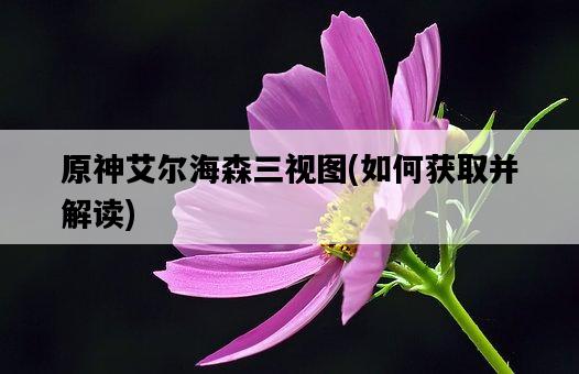 原神艾爾海森三視圖，如何獲取并解讀-圖1