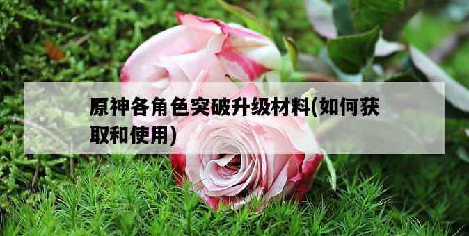 原神各角色突破升級材料，如何獲取和使用-圖1