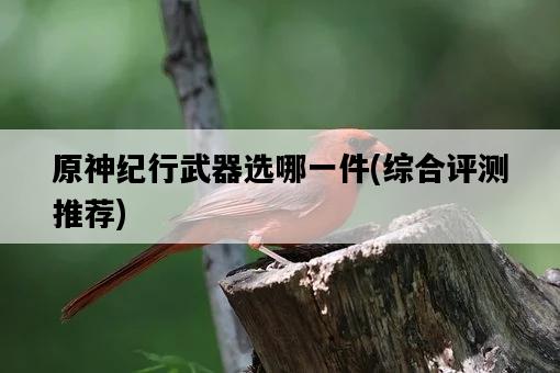 原神紀行武器選哪一件，綜合評測推薦-圖1