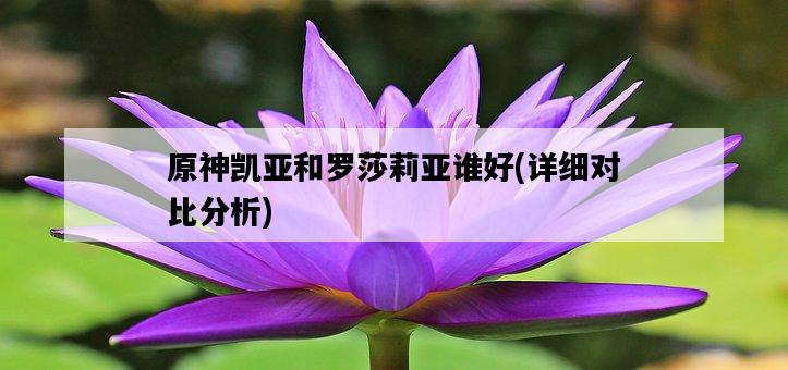 原神凱亞和羅莎莉亞誰好，詳細對比分析-圖1