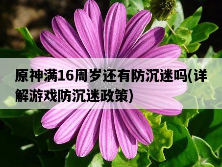 原神滿16周歲還有防沉迷嗎，詳解游戲防沉迷政策-圖1