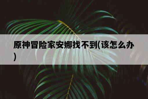 原神冒險家安娜找不到，該怎么辦-圖1