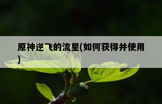 原神逆飛的流星，如何獲得并使用-圖1