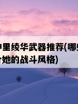 原神神里綾華武器推薦,哪些武器最適合她的戰斗風格-圖1 原神神里綾華武器推薦,哪些武器最適合她的戰斗風格-圖1
