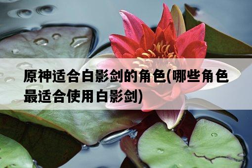 原神適合白影劍的角色，哪些角色最適合使用白影劍-圖1