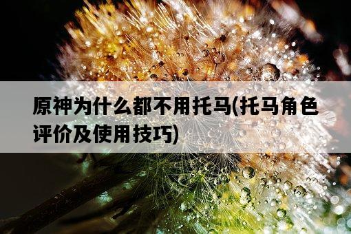 原神為什么都不用托馬，托馬角色評價及使用技巧-圖1