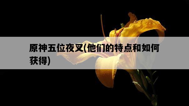 原神五位夜叉，他們的特點和如何獲得-圖1